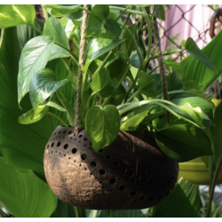 Jardinière suspendue bicolore